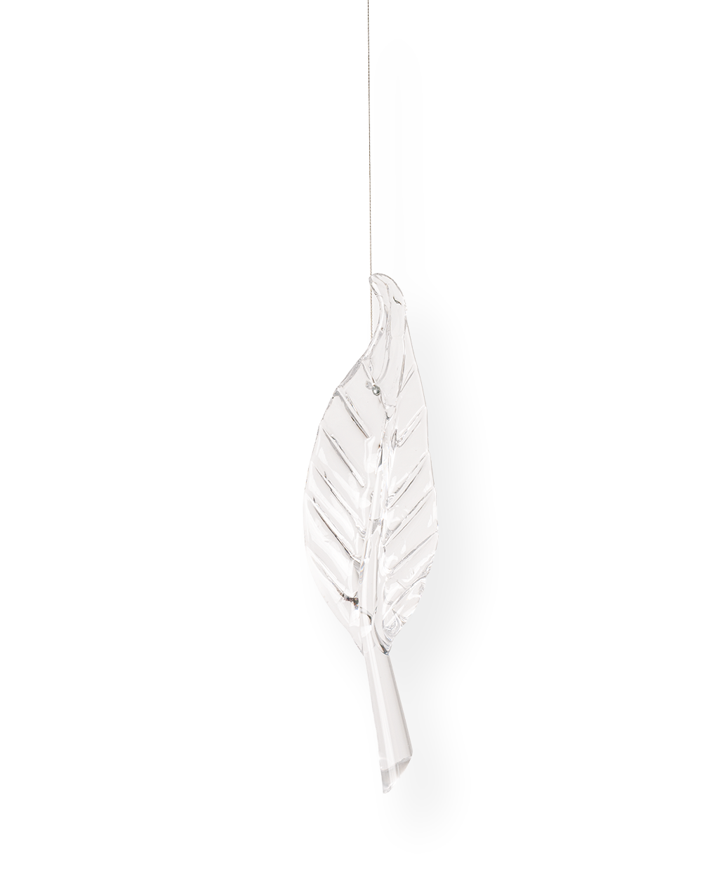 Blue Quill L015